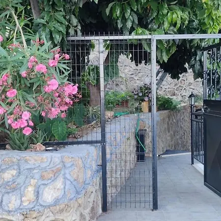 Halit Alanya